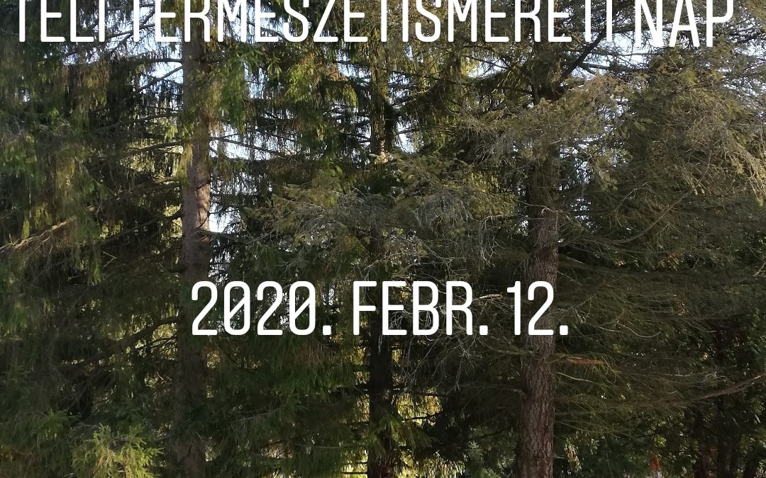 Téli természetismereti nap